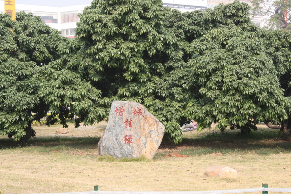 IMG_4829.JPG